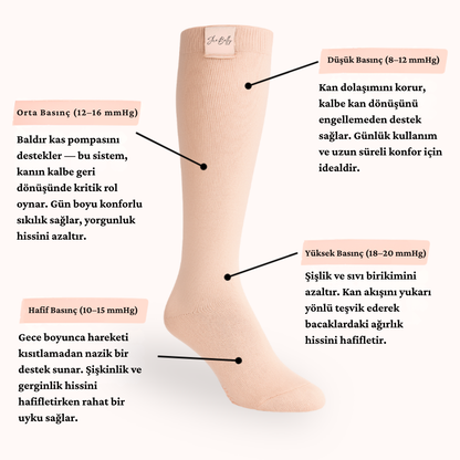 SheBelly - Hamile Kompresyon Çorabı